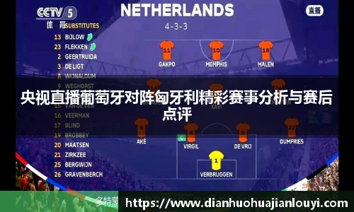 央视直播葡萄牙对阵匈牙利精彩赛事分析与赛后点评